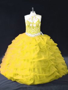  Yellow Green Sleeveless Appliques and Pick Ups Floor Length Sweet 16 Dresses