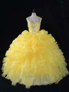 Dramatic Organza Sleeveless Floor Length Quince Ball Gowns and Beading and Ruffles and Pick Ups