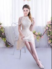 Most Popular Sleeveless Mini Length Lace Lace Up Quinceanera Dama Dress with Champagne