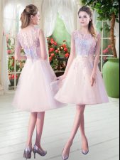 On Sale Champagne Zipper Scoop Appliques Dress for Prom Tulle Sleeveless