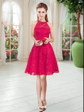 High End Sleeveless Lace Zipper Prom Party Dress