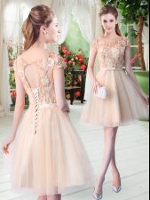 Eye-catching Short Sleeves Mini Length Appliques Lace Up Evening Dress with Champagne