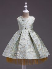 Customized Apple Green A-line Embroidery Flower Girl Dresses Satin Sleeveless Mini Length