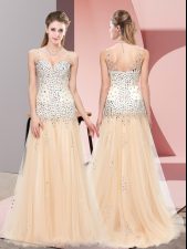Hot Sale Sweep Train A-line Prom Gown Champagne V-neck Tulle Sleeveless Zipper