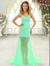 Exceptional Apple Green Sleeveless Tulle Brush Train Zipper Dress for Prom for Prom and Party