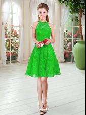  Scoop Sleeveless Prom Evening Gown Knee Length Lace Green