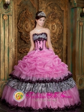 2013 Huejutla de Reyes Mexico Wholesale Customer Made Rose Pink Elegant Zebra and Organza Picks-Up Quinceanera Dress Wear For Sweet 16 Style QDZY028FOR 