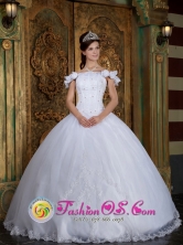 Colina Chile Custom Made Off The Shoulder For Quinceanera Dress With Lace Appliques and Hand Made Flower Decorate for Quinceanera Style QDZY134FOR