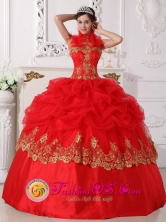 Ensenada Mexico Sweet 16 Hot Pink Halter Embroidery 2013 Special Quinceanera Gowns With Pick-ups Style QDZY694FOR