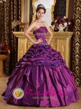 Los Reyes Acaquilpan Mexico Pick-ups Simple Purple 2013 Quinceanera Dress Strapless Taffeta Beaded Appliques Style QDZY064FOR 