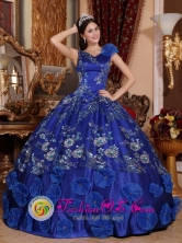 Morelia Mexico V-neck Satin Refined Appliques Decorate Exquisite Blue Quinceanera Dresses For Spring Style QDZY746FOR