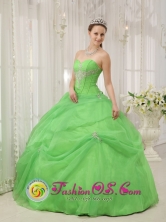 Ocosingo Mexico Customize Quinceanera Dress For Quinceanera With Spring Green Sweetheart neckline Floor-length Style QDZY379FOR