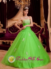 San Jose de Maipo Chile Customized Spring Organza Green Appliques Decorate  Ruching Princess Quinceanera Dress Style QDZY079FOR