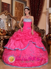 Santa Catarina Mexico Strapless Custom Made Beading With Hot Pink Quinceanera Dress For Fall Style QDZY430FOR