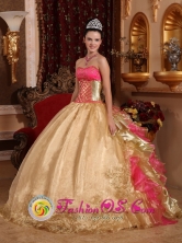 Zapopan Mexico Embroidery Decorate Bodice Champagne Organza and Floor-length Quinceanera Dress Style QDZY429FOR