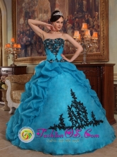 2013 Custom Made Strapless Blue Pick-ups Quinceanera Gowns With Organza and Taffeta In Horqueta Paraguay Style QDZY390FOR   