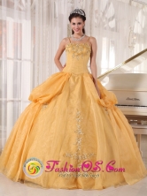 2013 Fall Quinceanera Dress With Spaghetti Straps Gold Appliques Taffeta and Organza Ball Gown In Alberdi Paraguay Style PDZY580FOR  