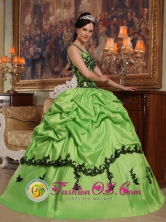 2013 Popular Appliques Decorate Bodice Spring Green Quinceanera Dress For Sweet Style Straps Taffeta In Obligado Paraguay Style QDZY396FOR 