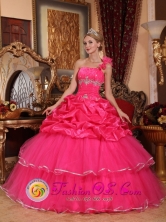 Custom Made One Shoulder Organza Romantic Hot Pink Beading and Pick-ups Quinceanera Dresses In Autumn In San Juan del Parana Paraguay Style QDZY755FOR   