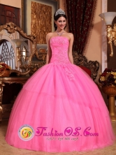 Customize Rose Pink Exquisite Appliques Beaded Quinceanera Dress With Strapless Tulle in Fall In Laureles Paraguay Style QDZY617FOR  