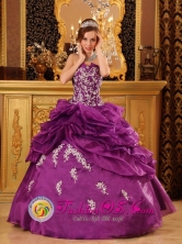 Fuchsia Quinceanera Dress For 2013 Strapless Organza With Beaded Lace Appliques In San Juan del Parana Paraguay Style QDZY069FOR 