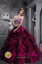 Leopord and Deaded Decorate Bodice Ruffles Wild Fushsia Quinceanera Dress Custom Made for Quinceanera In Fernheim Colony Paraguay Style ZYLJ01FOR 