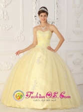 Light Yellow Quinceanera Dress With Sweetheart Ruched Bodice Organza Appliques for Sweet 16 In General Delgado Paraguay Style QDML063FOR  