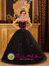 Popular Black Wholesale Quinceanera Dress For 2013 Tiny Flowers Decorate Strapless Tulle Ball Gown In Aregua Paraguay Style QDZY165FOR
