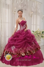 Popular Burgundy Quinceanera Sweetheart Organza and Leopard or zebra Appliques Ball Gown Dress In Paraguari Paraguay Style QDZY398FOR  