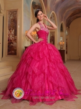 Romantic 2013 Quinceanera Embroidery Hot Pink Dress For Winter Halter Organza Ball Gown In Hernandariaz Paraguay Style QDZY381FOR 
