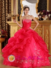Strapless Embeoidery Wholesale Decorate 2013 New Arrival Coral Red Sweet 16 Quinceanera Dress In Hohenhau Paraguay Style QDZY043FOR 