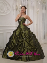 2013 Exquisite Olive Green Quinceanera Dress With Deaded Decorate taffeta For Sweet 16 Quinceaners IN  Laguna de Wounta Nicaragua  Style QDZY358FOR