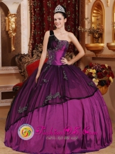 Custom Made One Shoulder Purple Appliques Bodice For Fall Modest Quinceanera Dress IN  Managua Capital Nicaragua  Style QDZYFOR