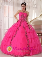 Hot Pink Paillette and applique For 2013 Quinceanera Dress With Sweetheart Organza tiered skirt  in   Karawala Nicaragua  Style PDZY480FOR