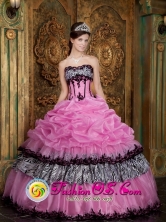 2013 Cariacica Brazil Customer Made Rose Pink Elegant Zebra and Organza Picks-Up Quinceanera Dress Wear For Sweet 16 Style QDZY028FOR