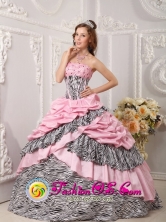 2013 Fortaleza Brazil Pink Quinceanera Dress Taffeta and Zebra For Sweet 16 With Pick-ups Beading Ball Gown Style QDZY017FOR