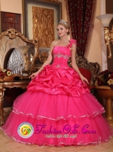 2013 Puerto Barrios Guatemala Custom Made One Shoulder Organza Romantic Hot Pink Beading and Pick-ups Quinceanera Dresses In Autumn Style QDZY755FOR