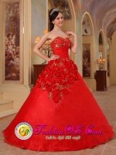 2013 Santa Maria Brazi A-line Hand Made Flowers Beaded Exclusive Red Quinceanera Dress For Style QDZY203FOR