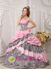 2013 Santa Maria Nebaj Guatemala Pink Quinceanera Dress Taffeta and Zebra For Sweet 16 With Pick-ups Beading Ball Gown Style QDZY017FOR