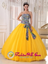 2013 Sao Paulo Brazil For Formal Evening Golden Yellow and Printing Quinceanera Dress Bowknot Tulle Ball Gown Style PDZY713FOR