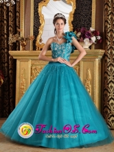 2013 Taubate Brazil Stunning Turquoise One Shoulder Tulle Beaded Decorate Quinceanera Gowns Style QDZY202FOR