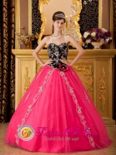 2013 Tiquisate Guatemala Brand New Hot Pink and Black Quinceanera Dress With Sweetheart Neckline and Hand Made Flower Decorate Tulle Skirt in Spring Style QDZY130FOR