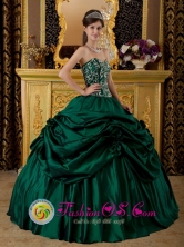  Longavi Chile Appliques With Beading And Hand Made Flowers Decorate  Dark Green Quinceanera Dress For 2013 Style QDZY205FOR 