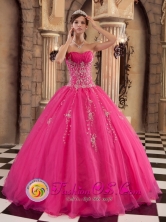 2013 Gorbea Chile Ball Gown Quinceanera Dress With Beaded Decorate Hot Pink Organza Style QDZY209FOR