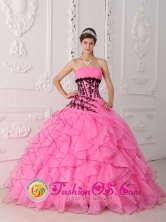 2013 Sweet Hot Pink Quinceanera Dress With Appliques and Ruffled Decorate In Coelemu Chile Style QDZY290FOR
