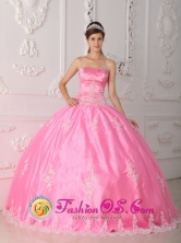 Appliques Decorate Bodice Rose Pink Quinceanera Dress For 2013 Floor-length and Strapless For 2013 in Taltal Chile Style QDZY279FOR