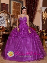 Fall Gorgeous Eggplant Purple 2013 New Arrival Sweetheart Beaded Quinceanera Dress in Caldera Chile Style QDZY626FOR