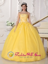 Las Cruces Chile Summer Remarkable Customize Light Yellow Lace and Ruch 2013 Quinceanera Gown With Strapless For Sweet 16 Style QDZY594FOR