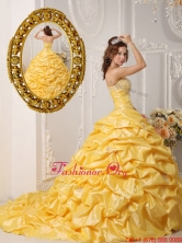 Perfect Pick Ups and Appliques Quinceanera Gowns with Court Train QDZY008CFOR