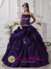 Puren Chile Wear The Super Hot Purple Exquisite Appliques Decorate Quinceanera Dress In 2013 Quinceanera Style QDZY610FOR 